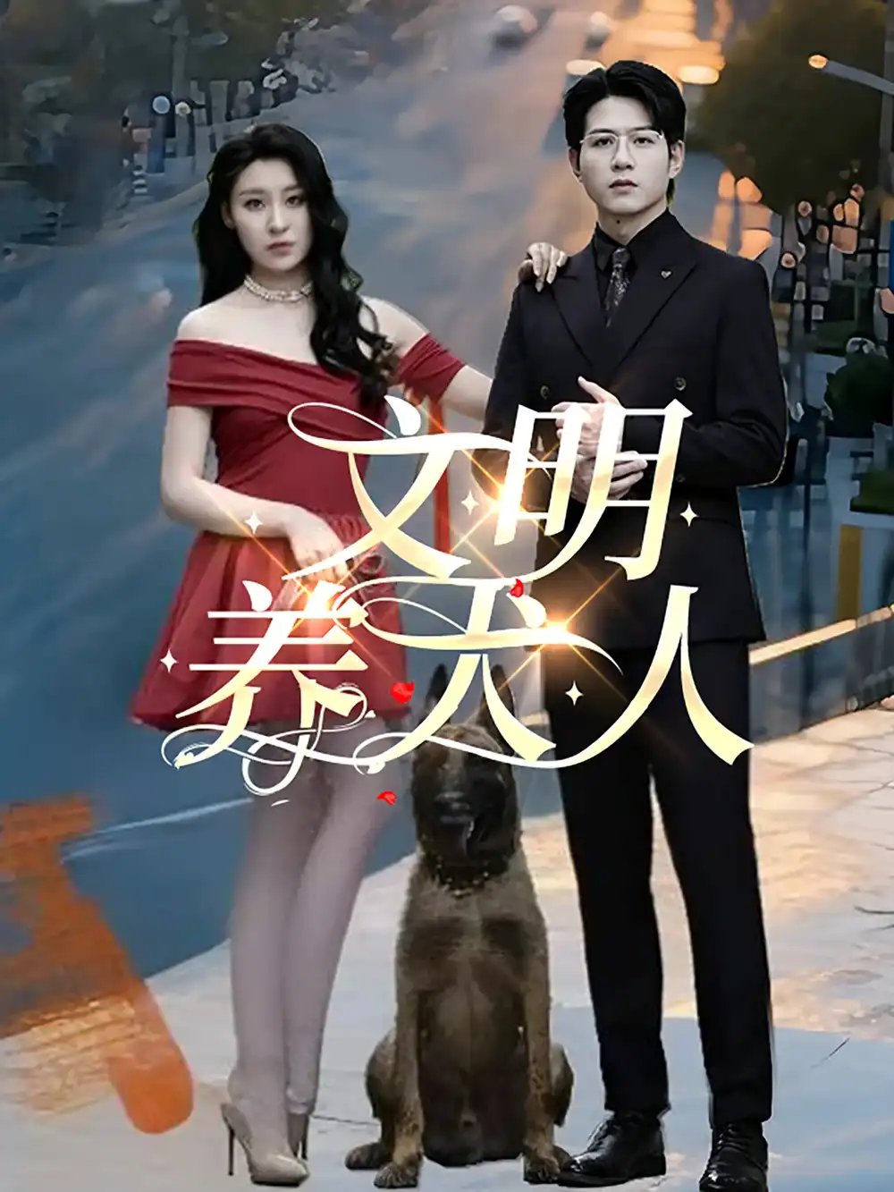 文明养犬人（35集）