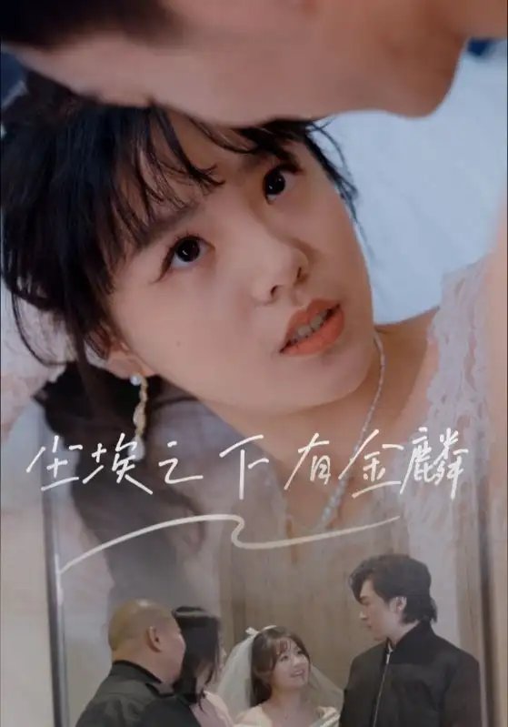 尘埃之下有金麟（60集）汪晓彤